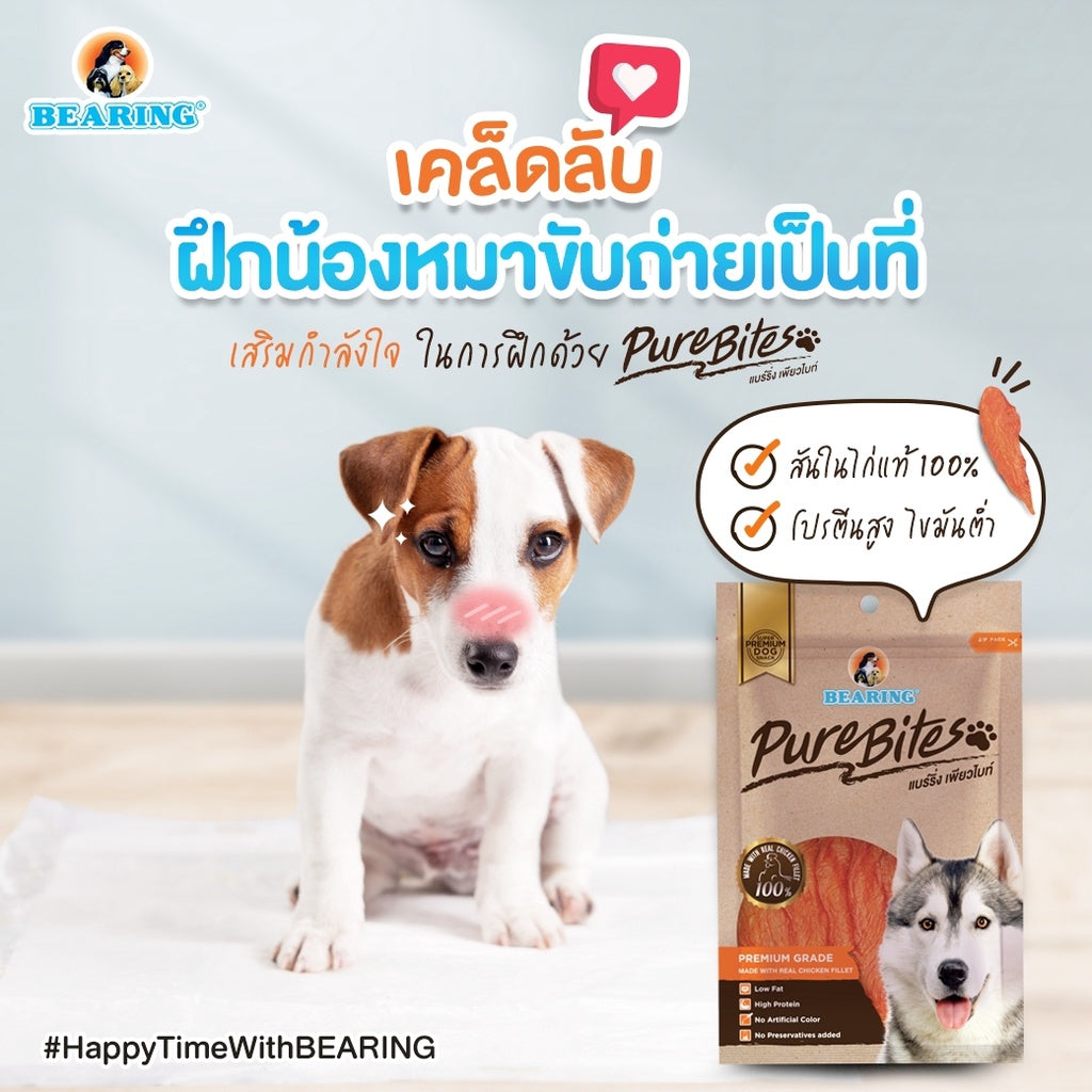 BEARING Pure Bites ขนมสุนัข เพื่อสุขภาพ อาหารสุนัข สันในไก่อบแห้ง แท้ 100% เคี้ยวสนุก เค็มต่ำ ไขมันต่ำ โปรตีนสูง 50g