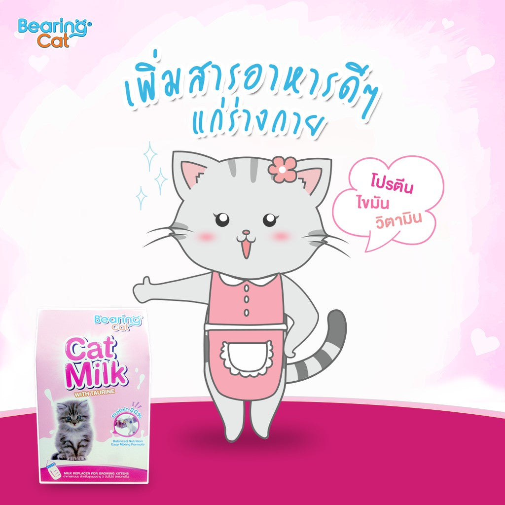 BEARING Cat Milk with Casein นมผงสำหรับลูกแมว นมผงทดแทนนมแม่ สำหรับลูกแมว โปรตีนสูง เสริมสร้างภูมิคุ้มกัน 300g