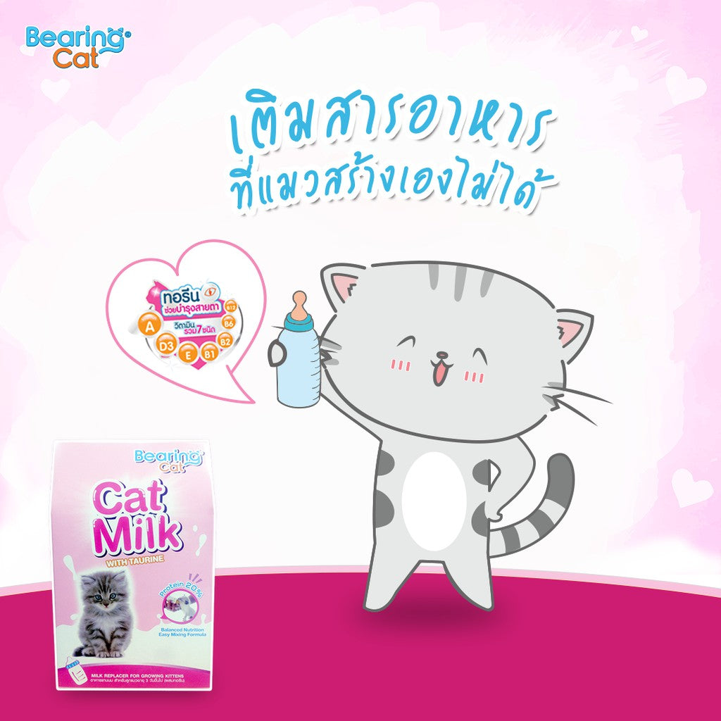 BEARING Cat Milk with Casein นมผงสำหรับลูกแมว นมผงทดแทนนมแม่ สำหรับลูกแมว โปรตีนสูง เสริมสร้างภูมิคุ้มกัน 300g
