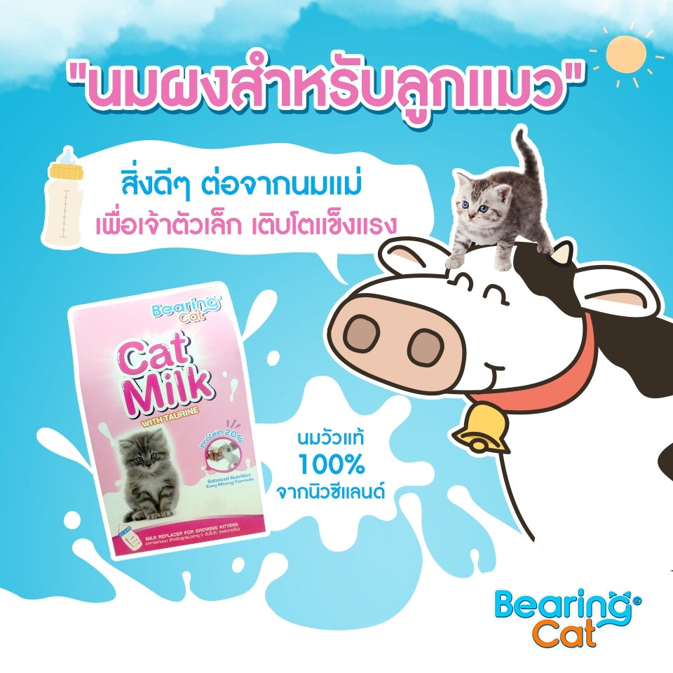 BEARING Cat Milk with Casein นมผงสำหรับลูกแมว นมผงทดแทนนมแม่ สำหรับลูกแมว โปรตีนสูง เสริมสร้างภูมิคุ้มกัน 300g