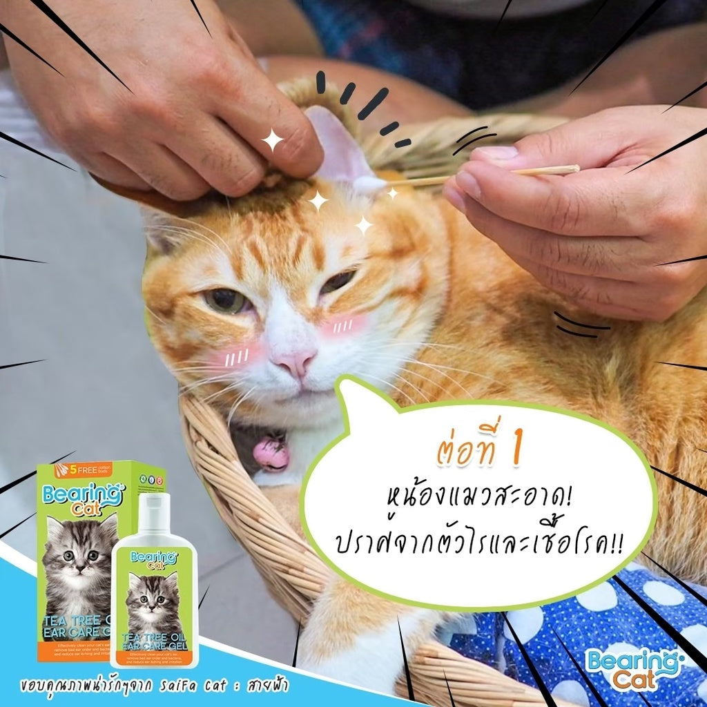 BEARING Cat Tea Tree Oil Ear Care Gel เจลเช็ดหูแมว น้ำยาเช็ดหูแมว ทำความสะอาดหู ลดกลิ่น ป้องกันอักเสบ ฆ่าเชื้อ 100 ml