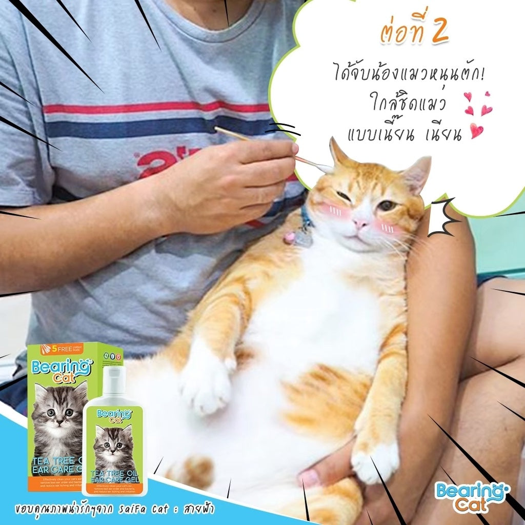 BEARING Cat Tea Tree Oil Ear Care Gel เจลเช็ดหูแมว น้ำยาเช็ดหูแมว ทำความสะอาดหู ลดกลิ่น ป้องกันอักเสบ ฆ่าเชื้อ 100 ml