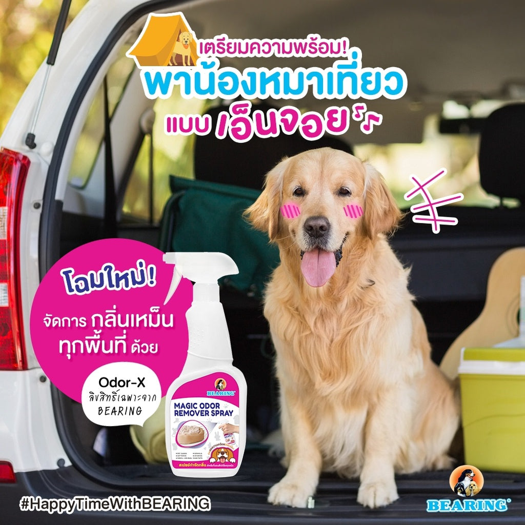 BEARING Magic Odor Remover น้ำยากำจัดกลิ่น ดับกลิ่นอึสุนัข กลิ่นขับถ่าย ดับกลิ่นสัตว์เลี้ยง 600ml