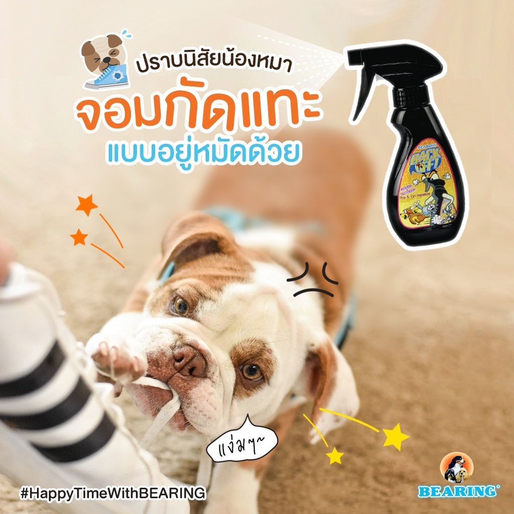 BEARING Back Off น้ำยาป้องกันสุนัขและแมวฉี่ น้ำยากันแมวฉี่ น้ำยาฝึกขับถ่าย ป้องกันการกัดแทะ 250 ml