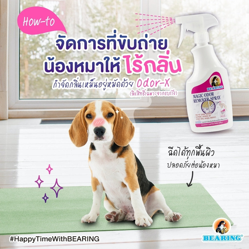 (สินค้าแถมฟรี)BEARING กำจัดกลิ่น " Magic Odor Remover " 65 ml.