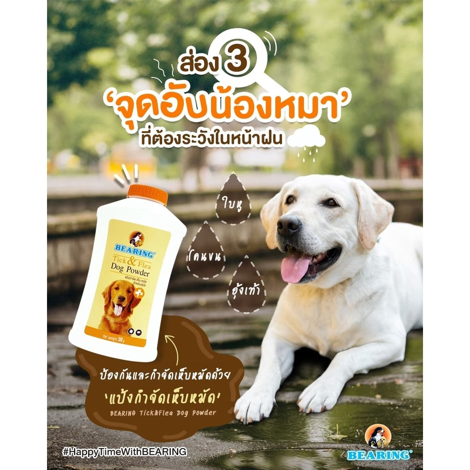 BEARING Ear Care Lotion for Dog โลชั่นเช็ดหูสุนัข ลดการอักเสบ ดับกลิ่นหู ทำความสะอาด และฆ่าเชื้อแบคทีเรีย 100 ml