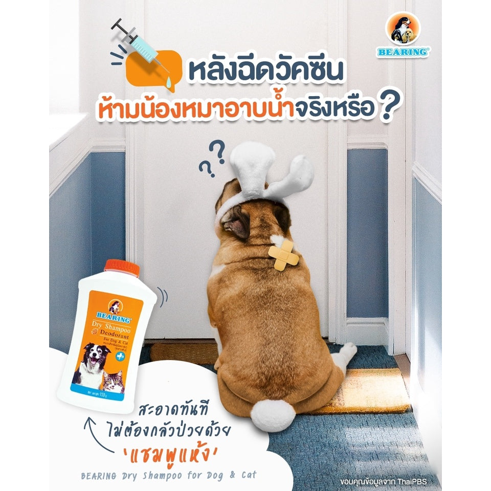 BEARING Ear Care Lotion for Dog โลชั่นเช็ดหูสุนัข ลดการอักเสบ ดับกลิ่นหู ทำความสะอาด และฆ่าเชื้อแบคทีเรีย 100 ml