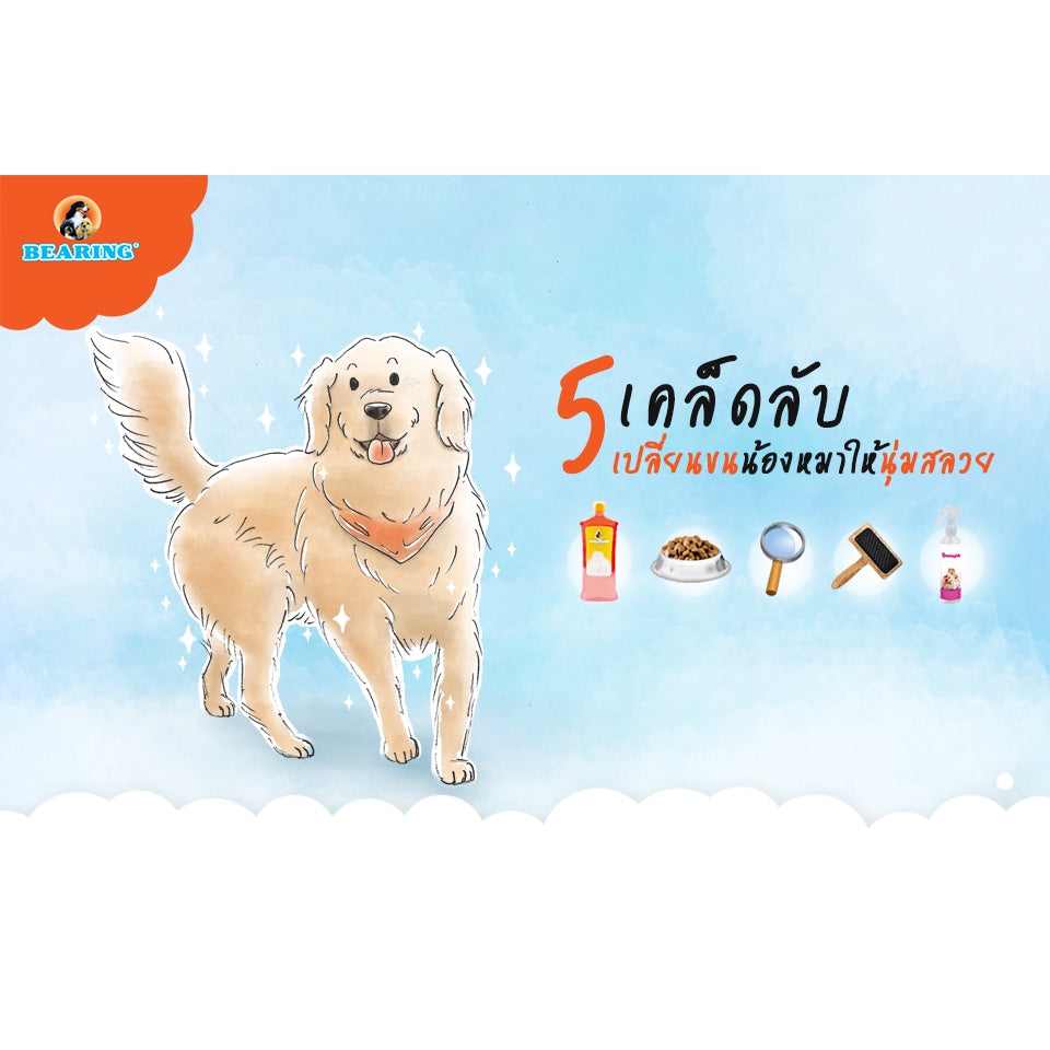 BEARING Beauty Lotion for Dog & Cat น้ำยาบำรุงขนสุนัขและแมว บำรุงขนสวย ให้ผิวแข็งแรง ขนนุ่ม ลื่น ไม่พันกัน 250ml