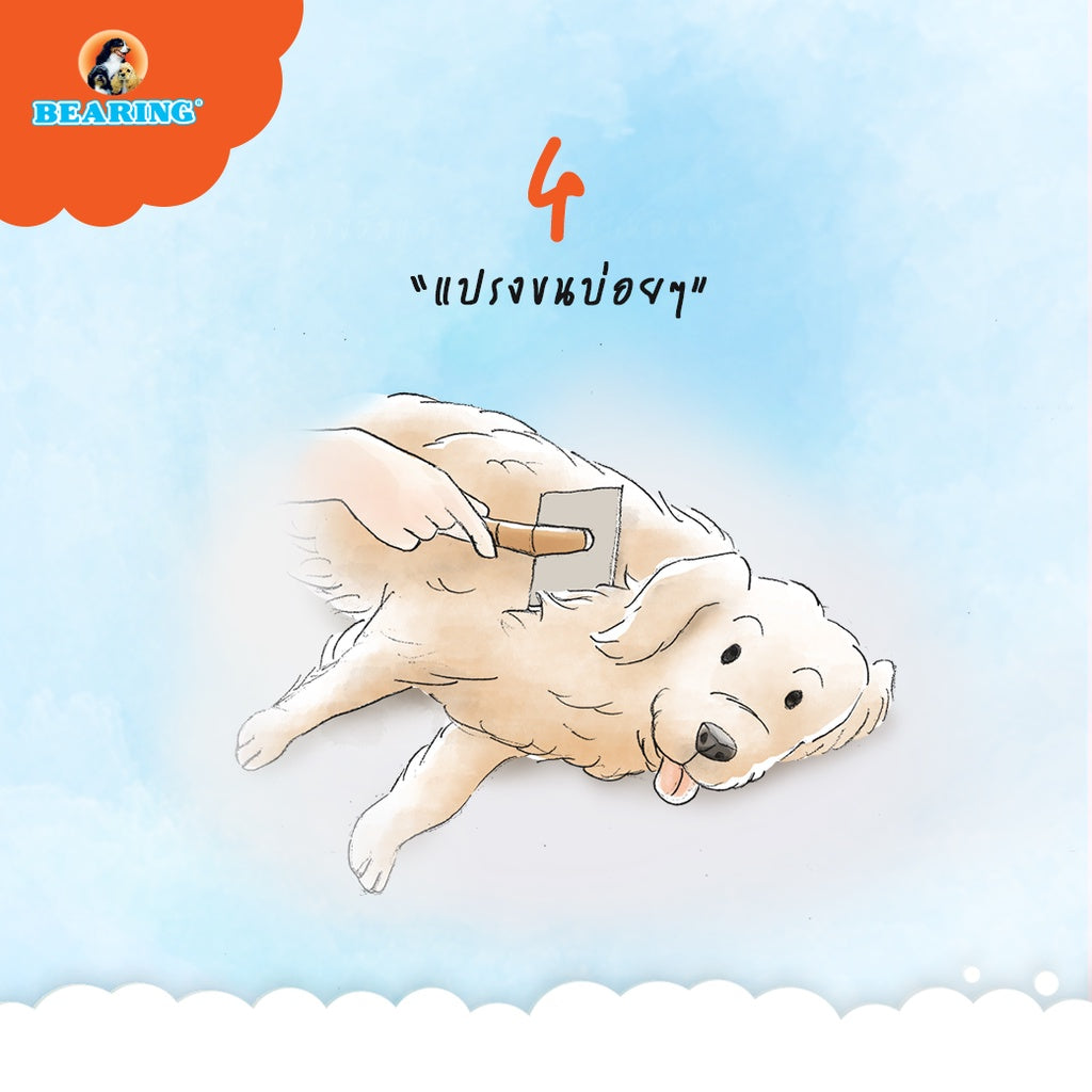 BEARING Beauty Lotion for Dog & Cat น้ำยาบำรุงขนสุนัขและแมว บำรุงขนสวย ให้ผิวแข็งแรง ขนนุ่ม ลื่น ไม่พันกัน 250ml
