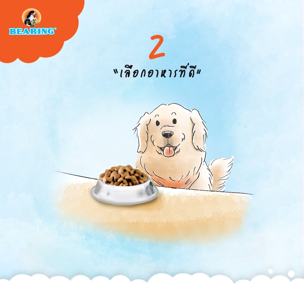 BEARING Beauty Lotion for Dog & Cat น้ำยาบำรุงขนสุนัขและแมว บำรุงขนสวย ให้ผิวแข็งแรง ขนนุ่ม ลื่น ไม่พันกัน 250ml
