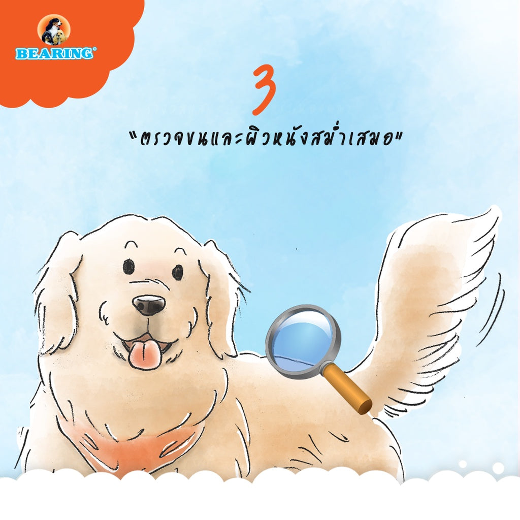 BEARING Beauty Lotion for Dog & Cat น้ำยาบำรุงขนสุนัขและแมว บำรุงขนสวย ให้ผิวแข็งแรง ขนนุ่ม ลื่น ไม่พันกัน 250ml