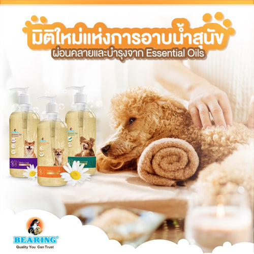 Bearing Aromatic Spa Dog Shampoo แชมพูสุนัข แชมพูอโรม่า สำหรับสุนัข กลิ่นหอมผ่อนคลายจาก Essential Oils อ่อนโยน 450ml