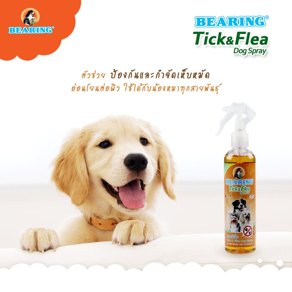 BEARING Tick & Flea Dog น้ำยากำจัดเห็บหมัด สำหรับสุนัข เห็นผลรวดเร็ว 250ml