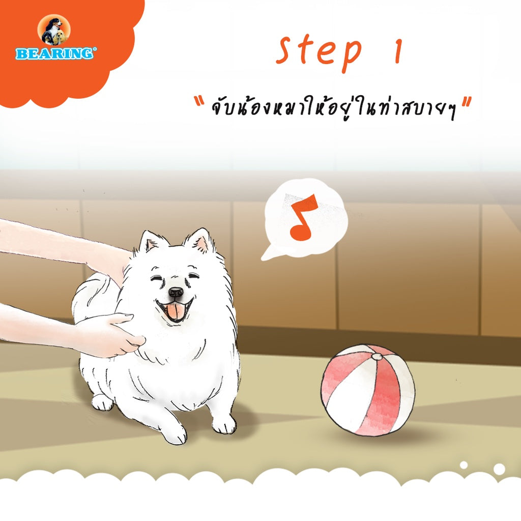 BEARING Tick & Flea Dog น้ำยากำจัดเห็บหมัด สำหรับสุนัข เห็นผลรวดเร็ว 250ml