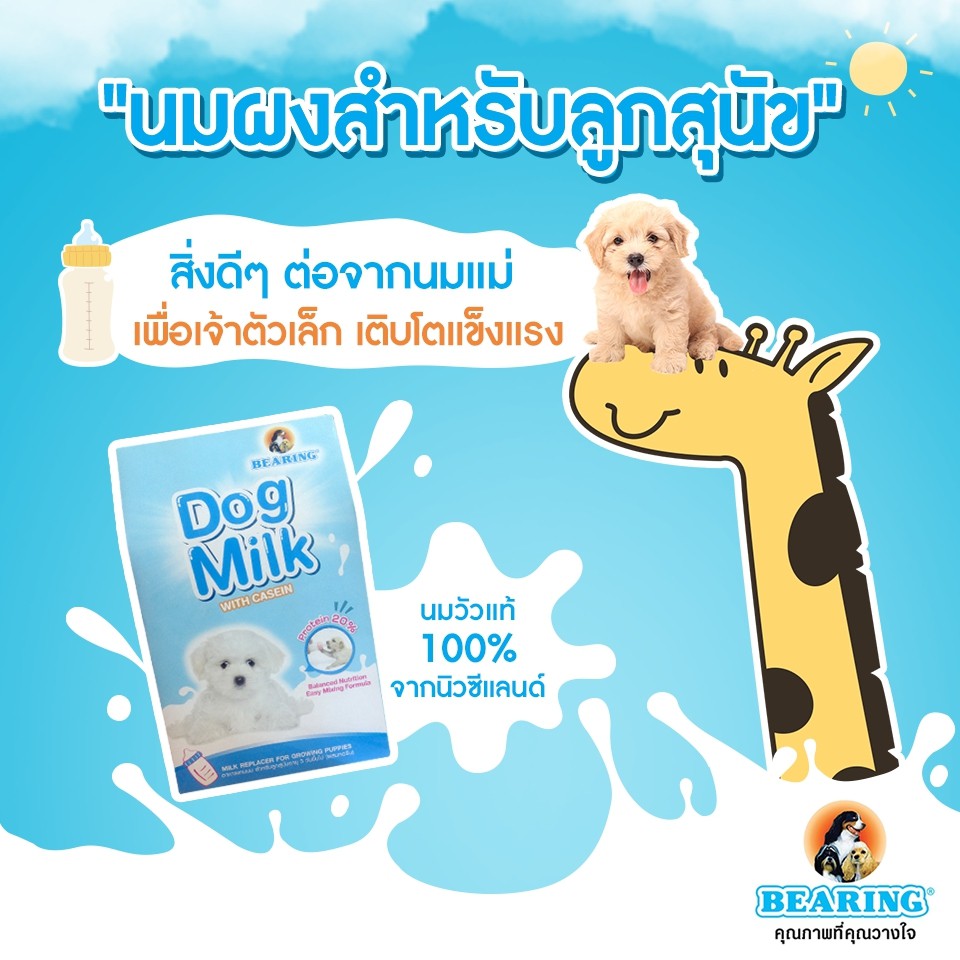 BEARING Dog Milk with Casein นมผงสำหรับลูกสุนัข นมผงทดแทนนมแม่ สำหรับลูกสุนัข โปรตีนสูง เสริมสร้างภูมิคุ้มกัน 300g