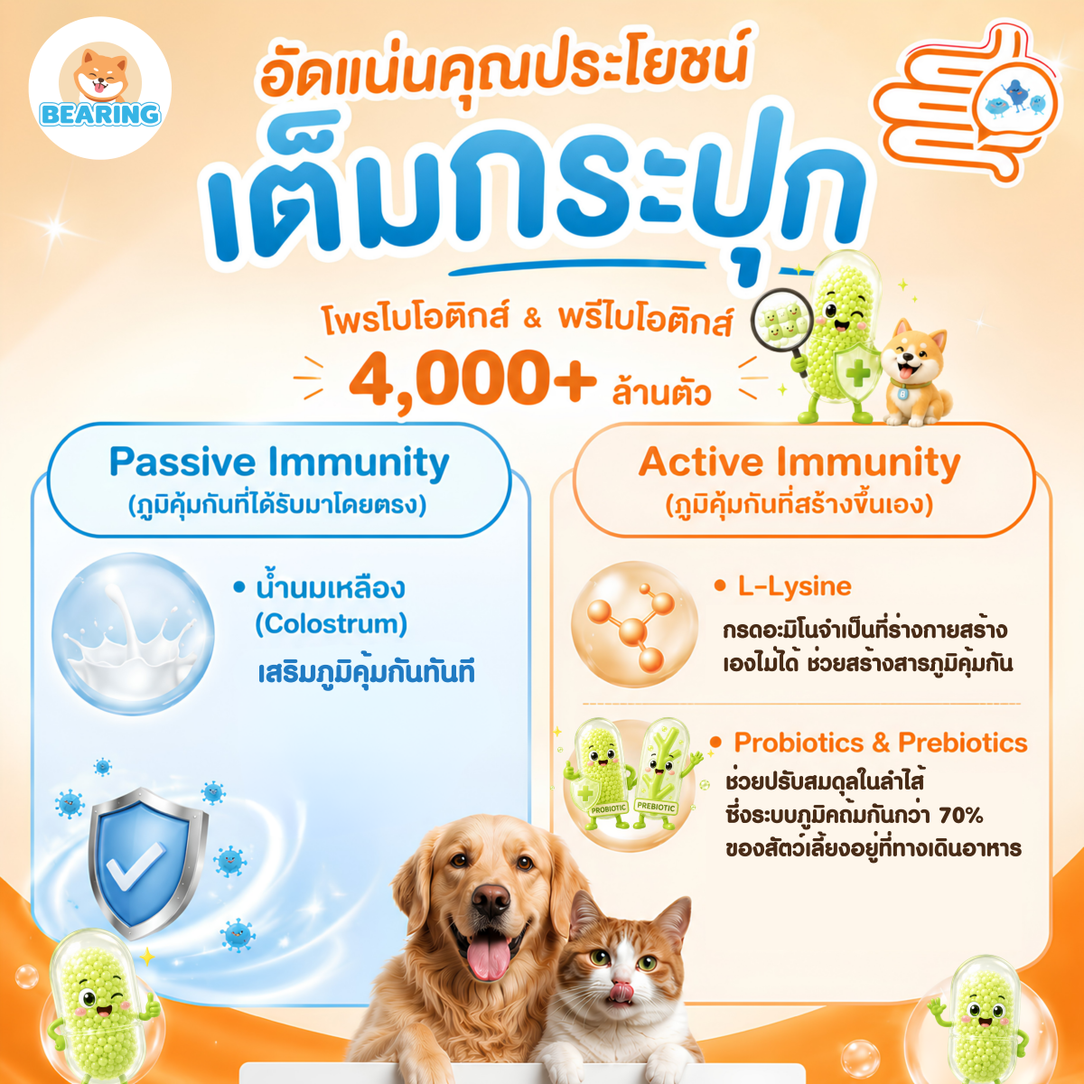 Bearing Happy Tummy Powder ผงโรยอาหาร ตัวช่วยปรับสมดุลลำไส้ สำหรับสุนัขและแมว