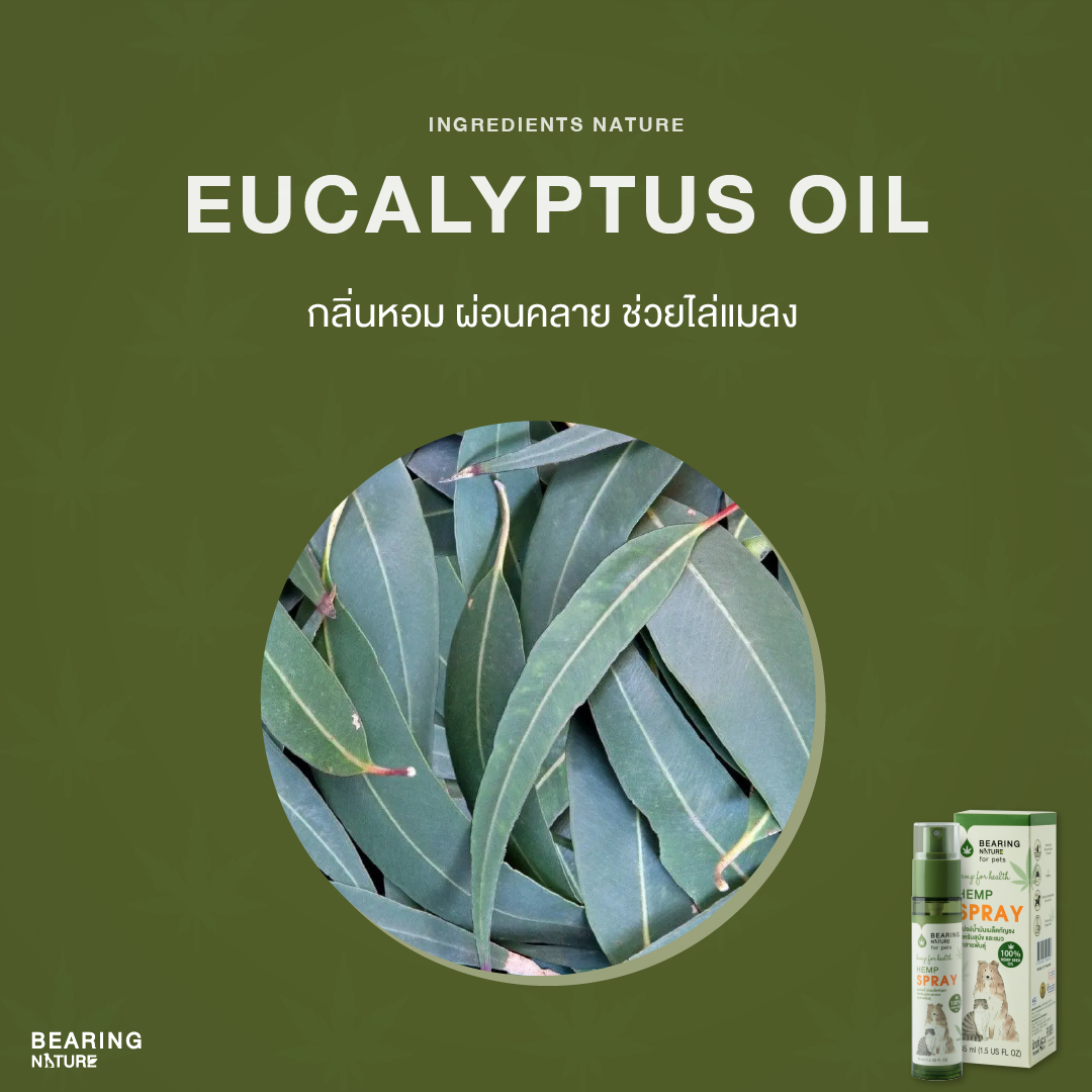 BEARING NATURE SERIES แบร์ริ่ง เนเจอร์ สเปรย์น้ำมันเมล็ดธรรมชาติ สำหรับสุนัขและแมวทุกสายพันธ์ 45 ml.