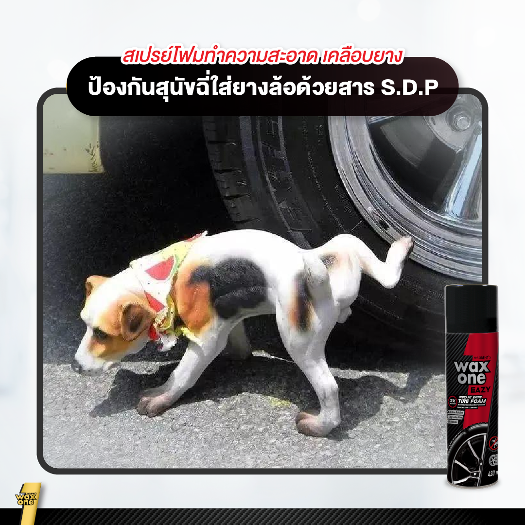 President's waxone eazy instant shine tire foam 420ml โฟมทำความสะอาดพร้อมเคลือบยางดำเงางาม ป้องกันสุนัขฉี่