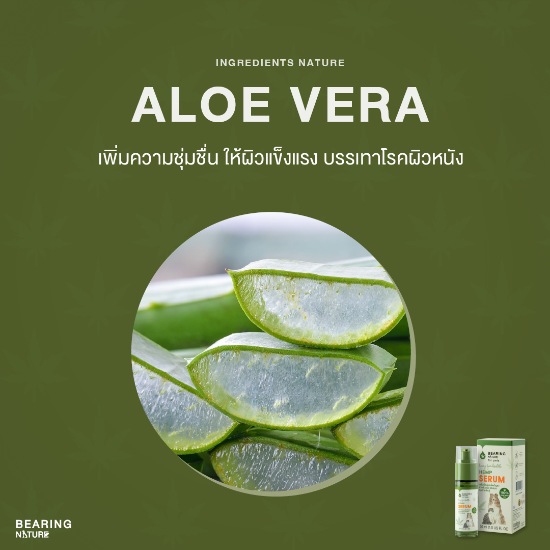 BEARING NATURE SERIES เซรั่มน้ำมันเมล็ดธรรมชาติ สำหรับสุนัขและแมวทุกสายพันธุ์ 30 ml.