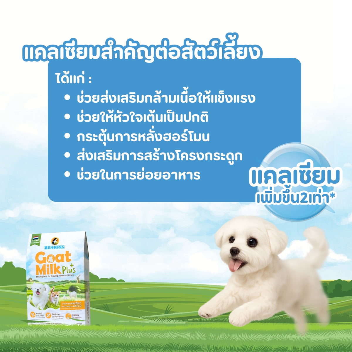 BEARING Goat Milk Plus แบร์ริ่ง โกท มิลค์พลัส 200g
