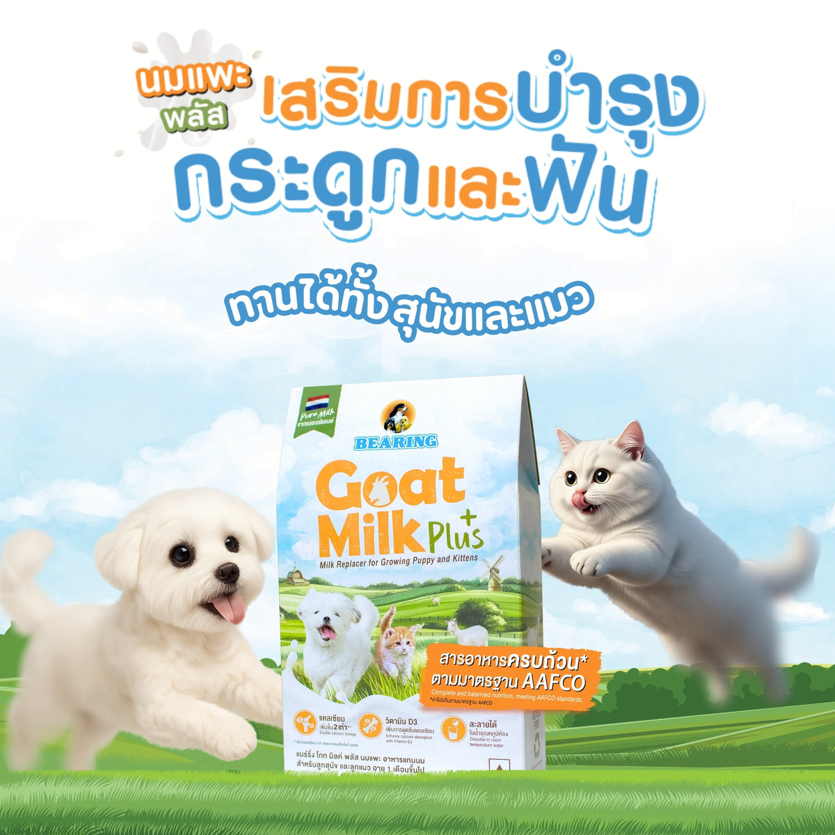 BEARING Goat Milk Plus แบร์ริ่ง โกท มิลค์พลัส 200g