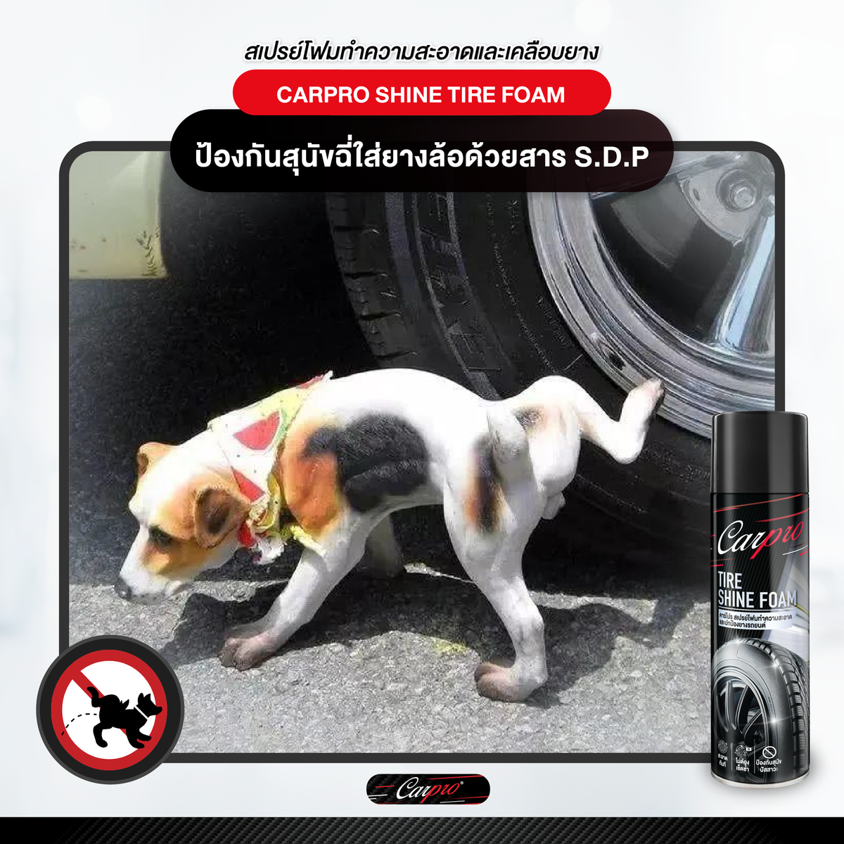 Carpro Shine Tire Foam คาร์โปร สเปรย์โฟมทำความสะอาดและปกป้องยางรถยนต์ 600 ml.