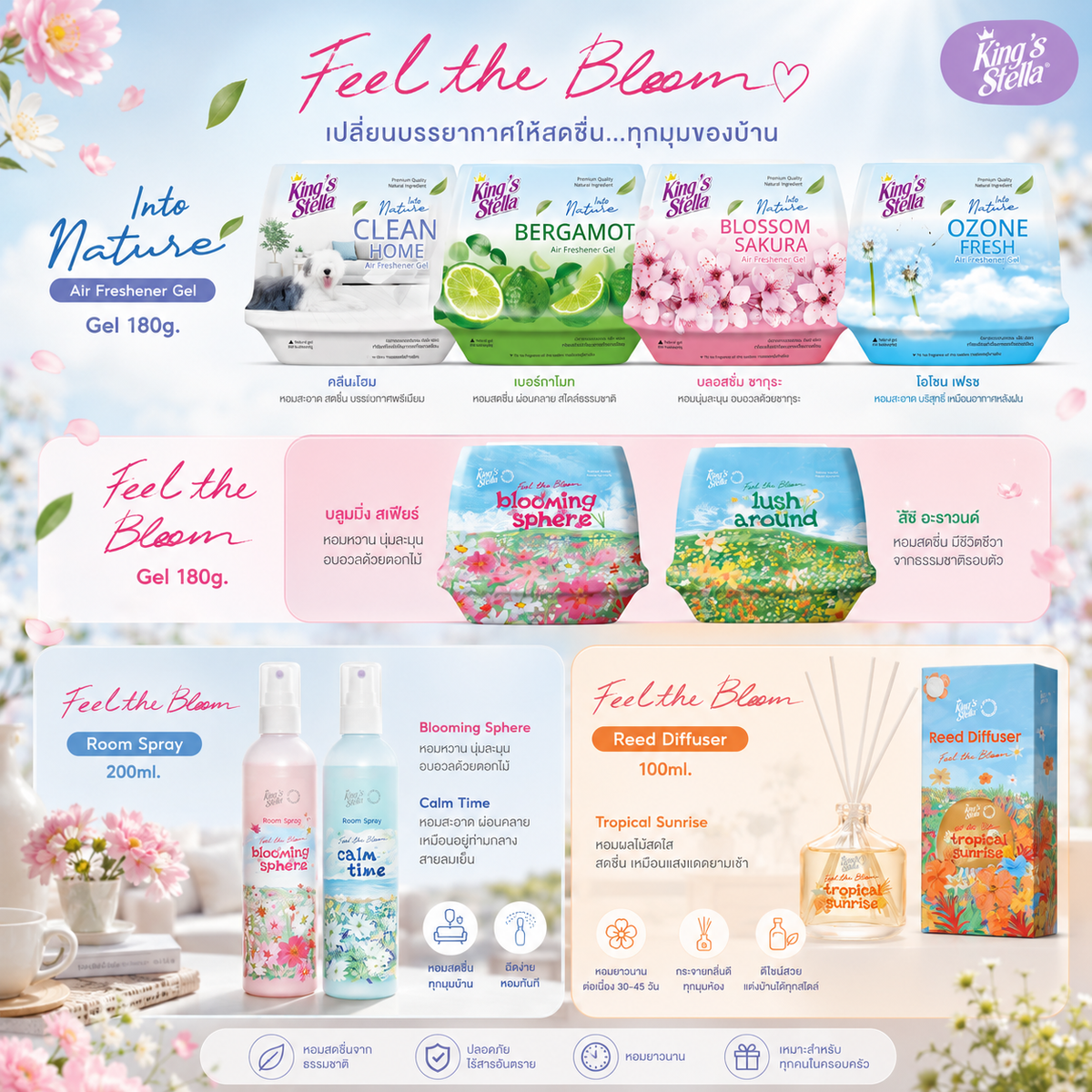 [เซตรวมฮิต] King's Stella Popular Set