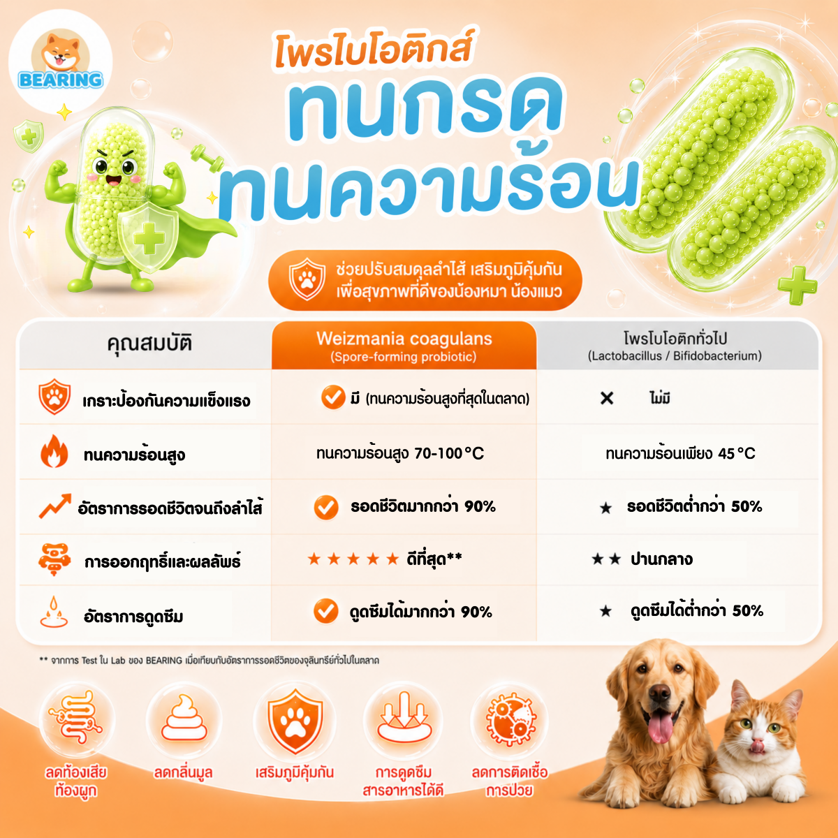 Bearing Happy Tummy Powder ผงโรยอาหาร ตัวช่วยปรับสมดุลลำไส้ สำหรับสุนัขและแมว