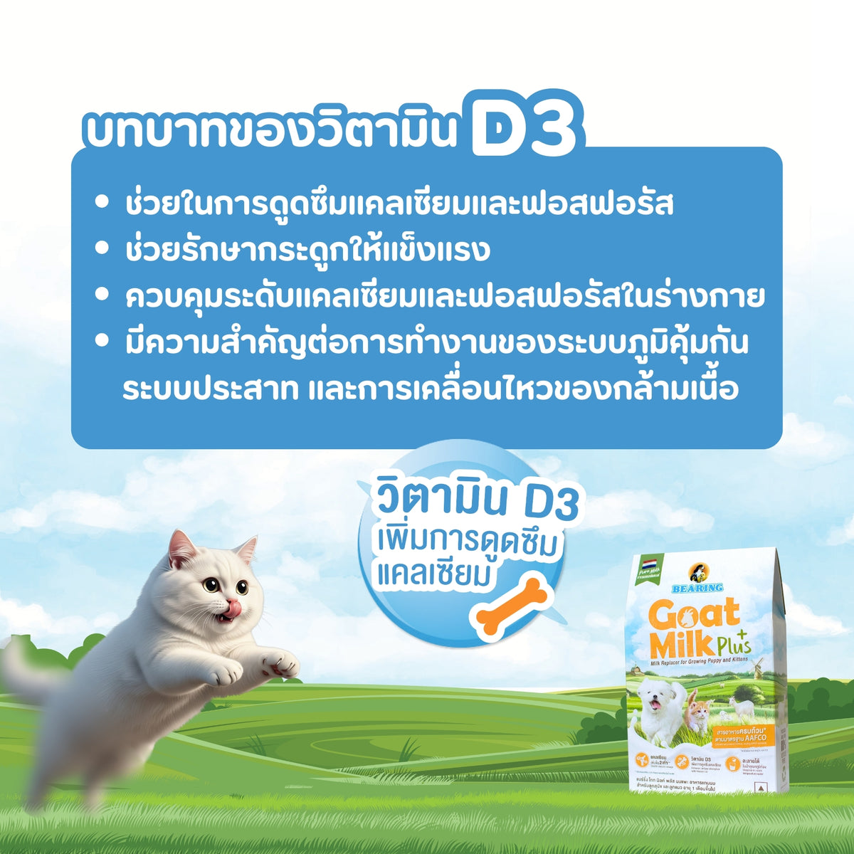 BEARING Goat Milk Plus แบร์ริ่ง โกท มิลค์พลัส 200g