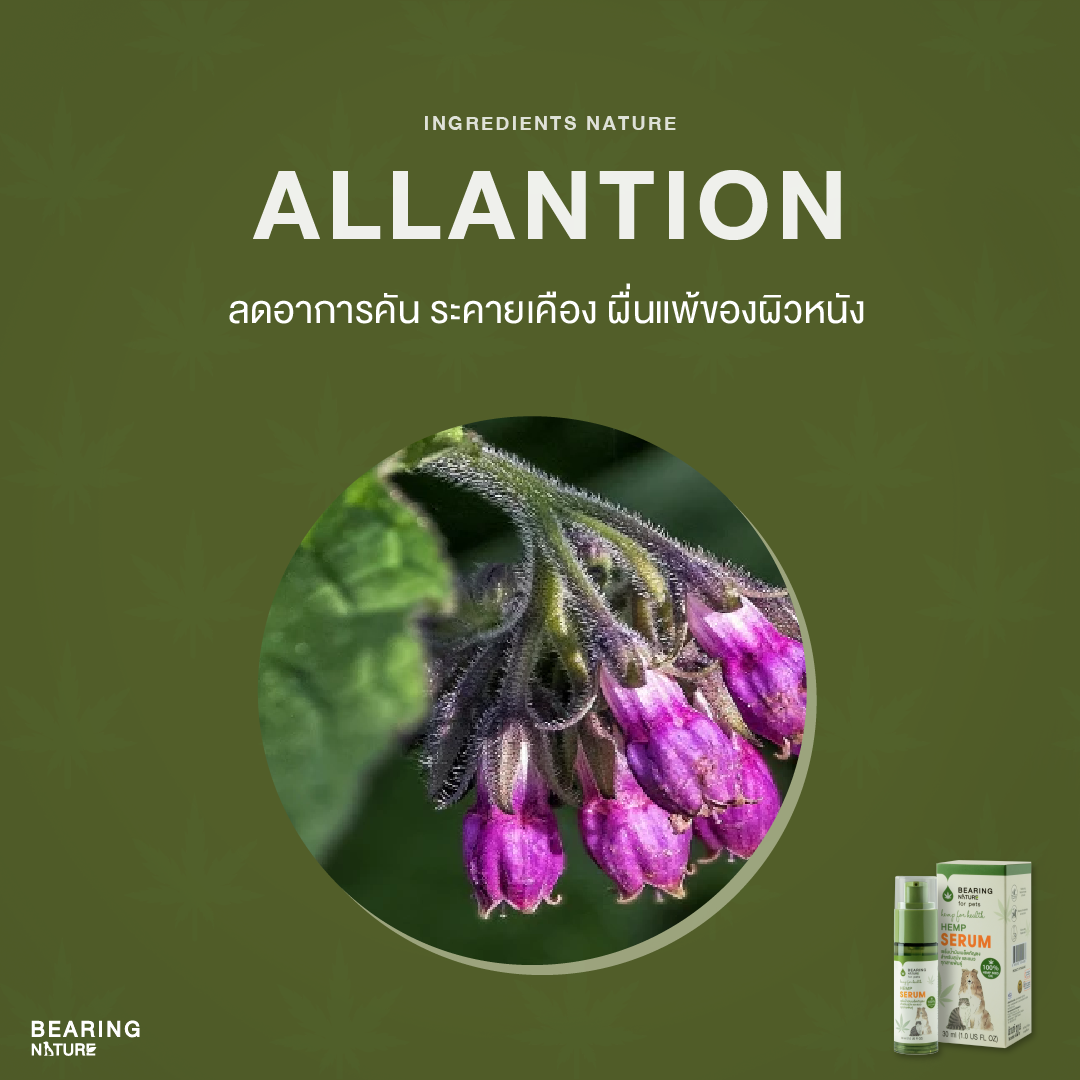 BEARING NATURE SERIES เซรั่มน้ำมันเมล็ดธรรมชาติ สำหรับสุนัขและแมวทุกสายพันธุ์ 30 ml.
