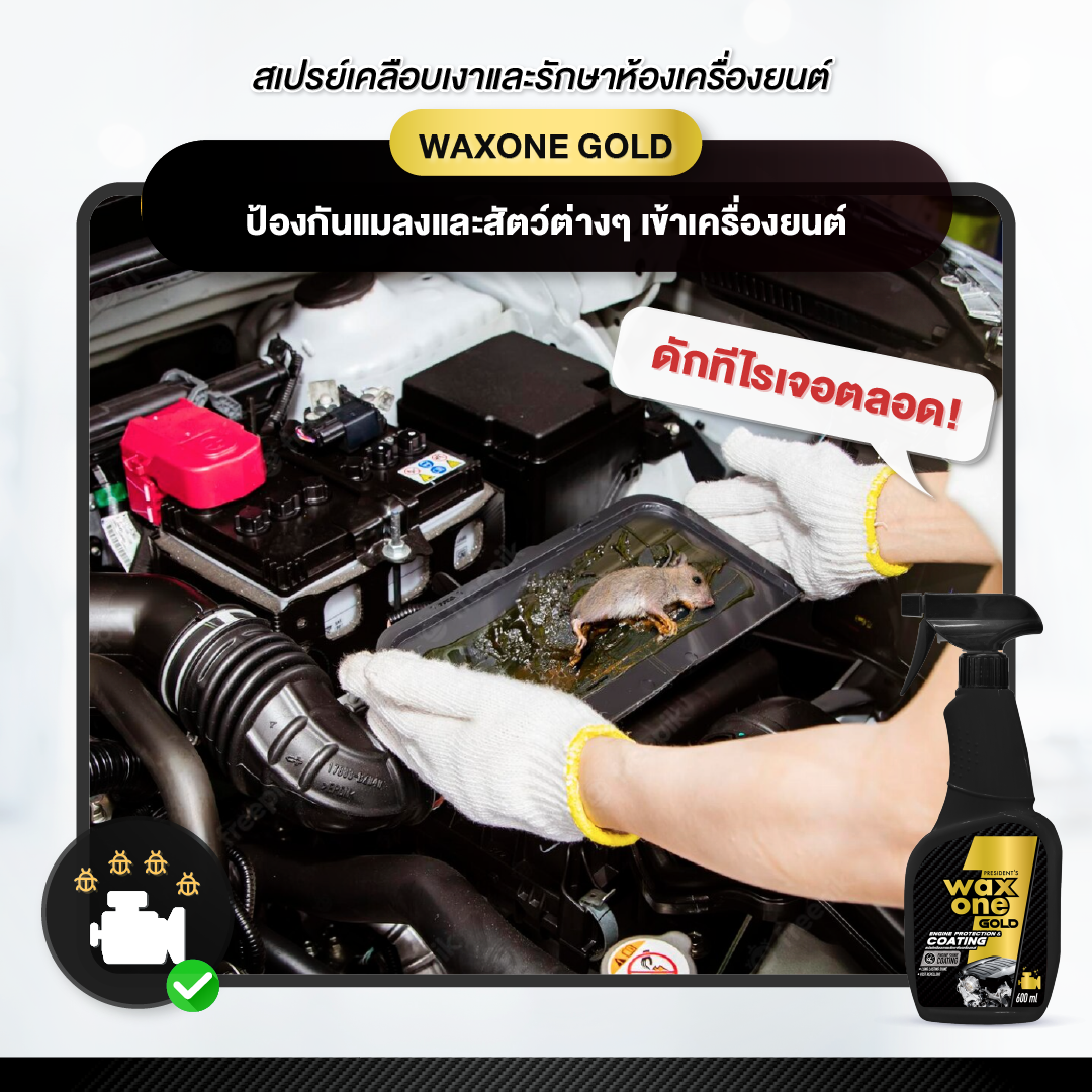 Waxone Gold Engine Protection & Coating เคลือบเงาและรักษาห้องเครื่องยนต์ 600ml