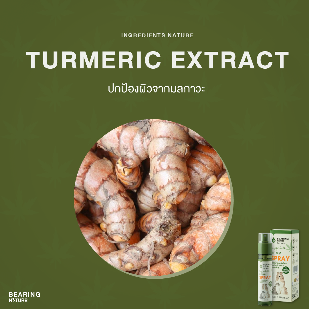 BEARING NATURE SERIES แบร์ริ่ง เนเจอร์ สเปรย์น้ำมันเมล็ดธรรมชาติ สำหรับสุนัขและแมวทุกสายพันธ์ 45 ml.