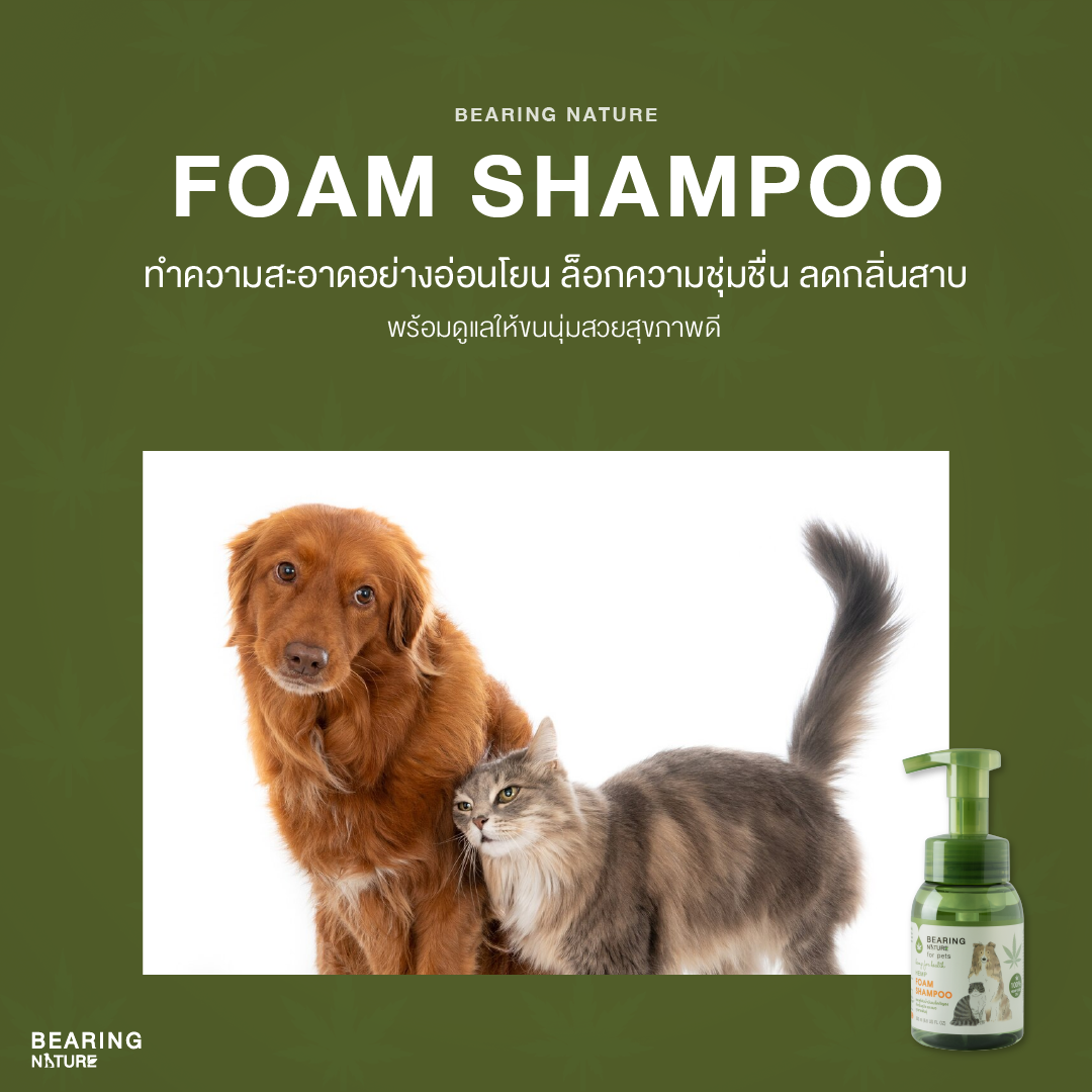 BEARING NATURE SERIES แชมพูโฟมน้ำมันน้ำมันเมล็ดธรรมชาติ สำหรับสุนัขและแมวทุกสายพันธ์ 200 ml.