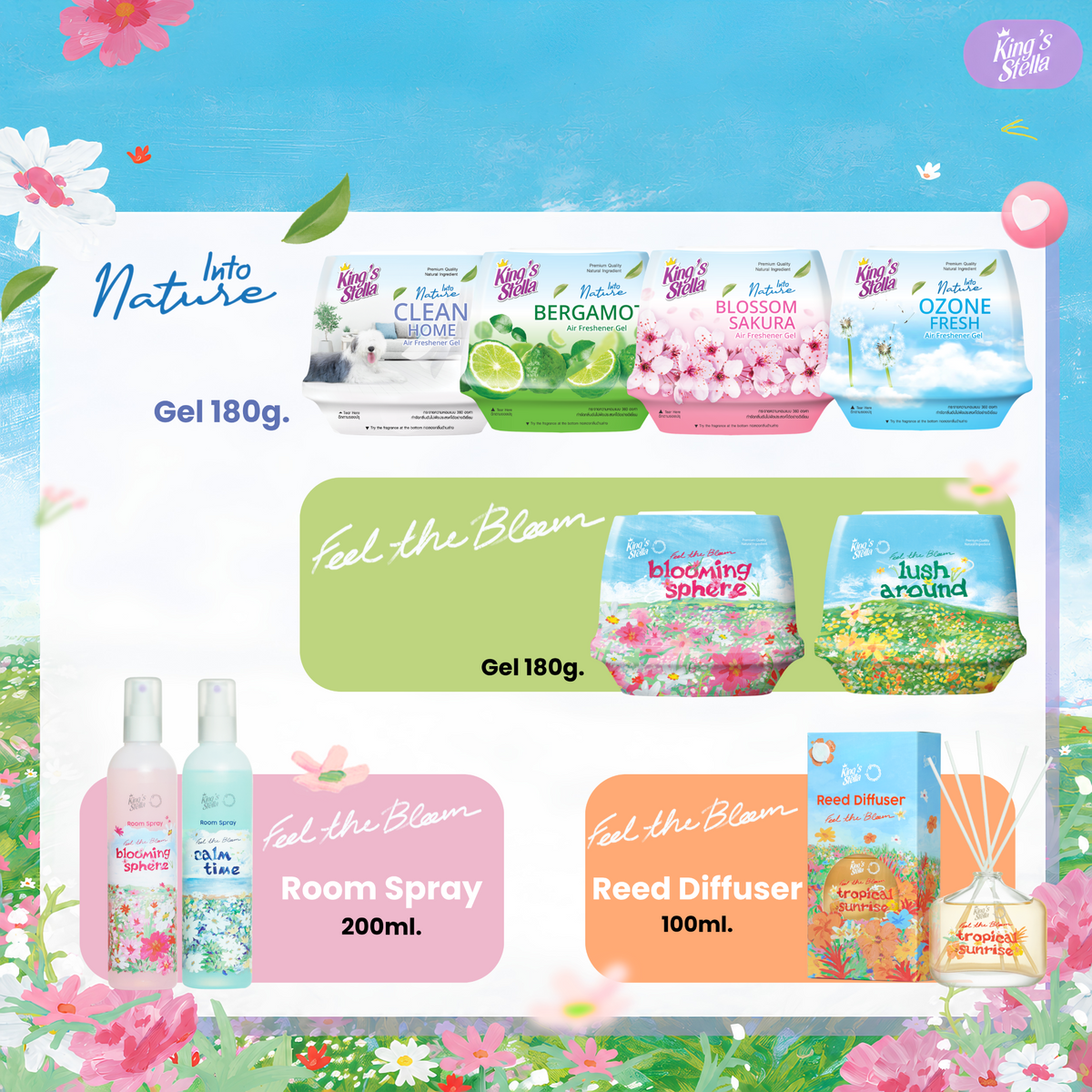 [เซตรวมฮิต] King's Stella Popular Set