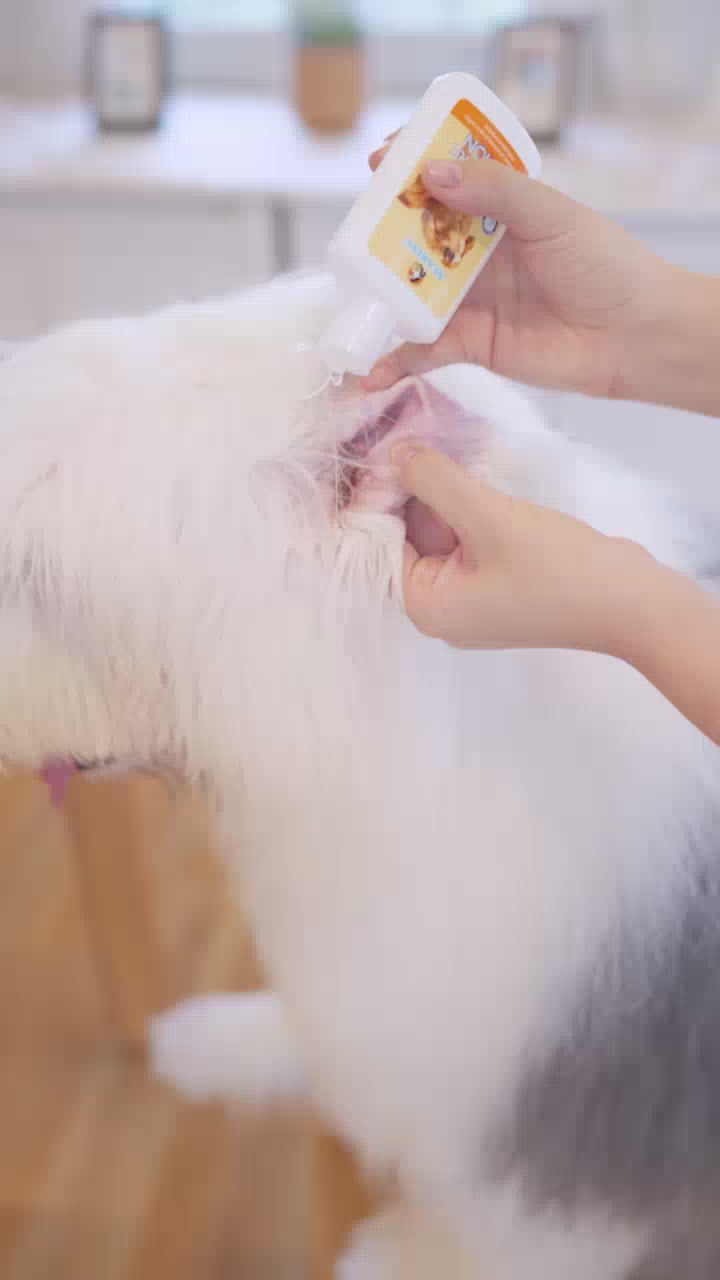 BEARING Ear Care Lotion for Dog โลชั่นเช็ดหูสุนัข ลดการอักเสบ ดับกลิ่นหู ทำความสะอาด และฆ่าเชื้อแบคทีเรีย 100 ml