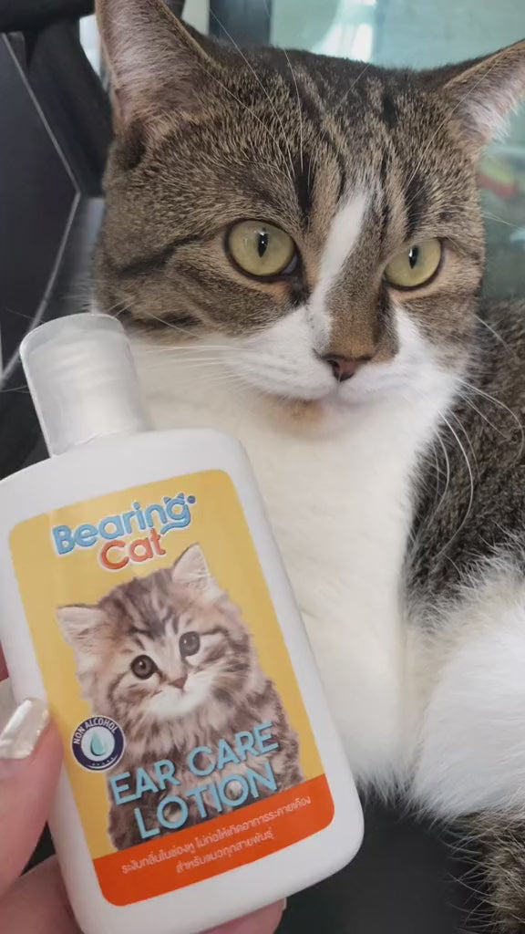 BEARING Cat Ear Care Lotion for Cat โลชั่นเช็ดหูแมว ทำความสะอาดหูน้องแมว ดับกลิ่น ลดอักเสบ ฆ่าเชื้อแบคทีเรีย 100ml