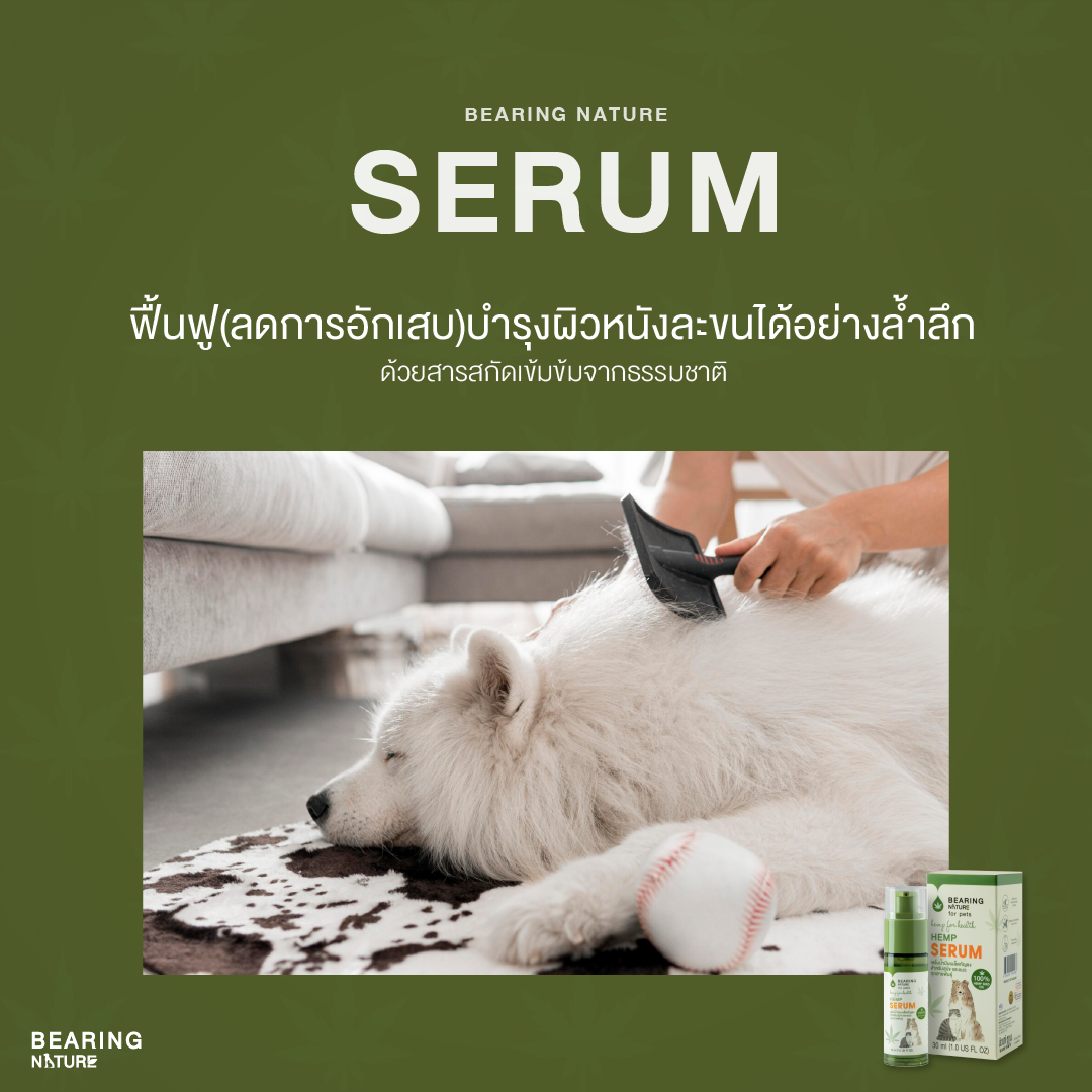 BEARING NATURE SERIES เซรั่มน้ำมันเมล็ดธรรมชาติ สำหรับสุนัขและแมวทุกสายพันธุ์ 30 ml.