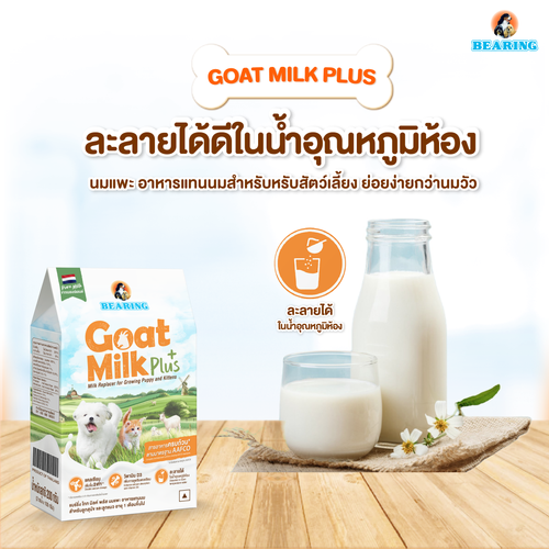 BEARING Goat Milk Plus แบร์ริ่ง โกท มิลค์พลัส 200g