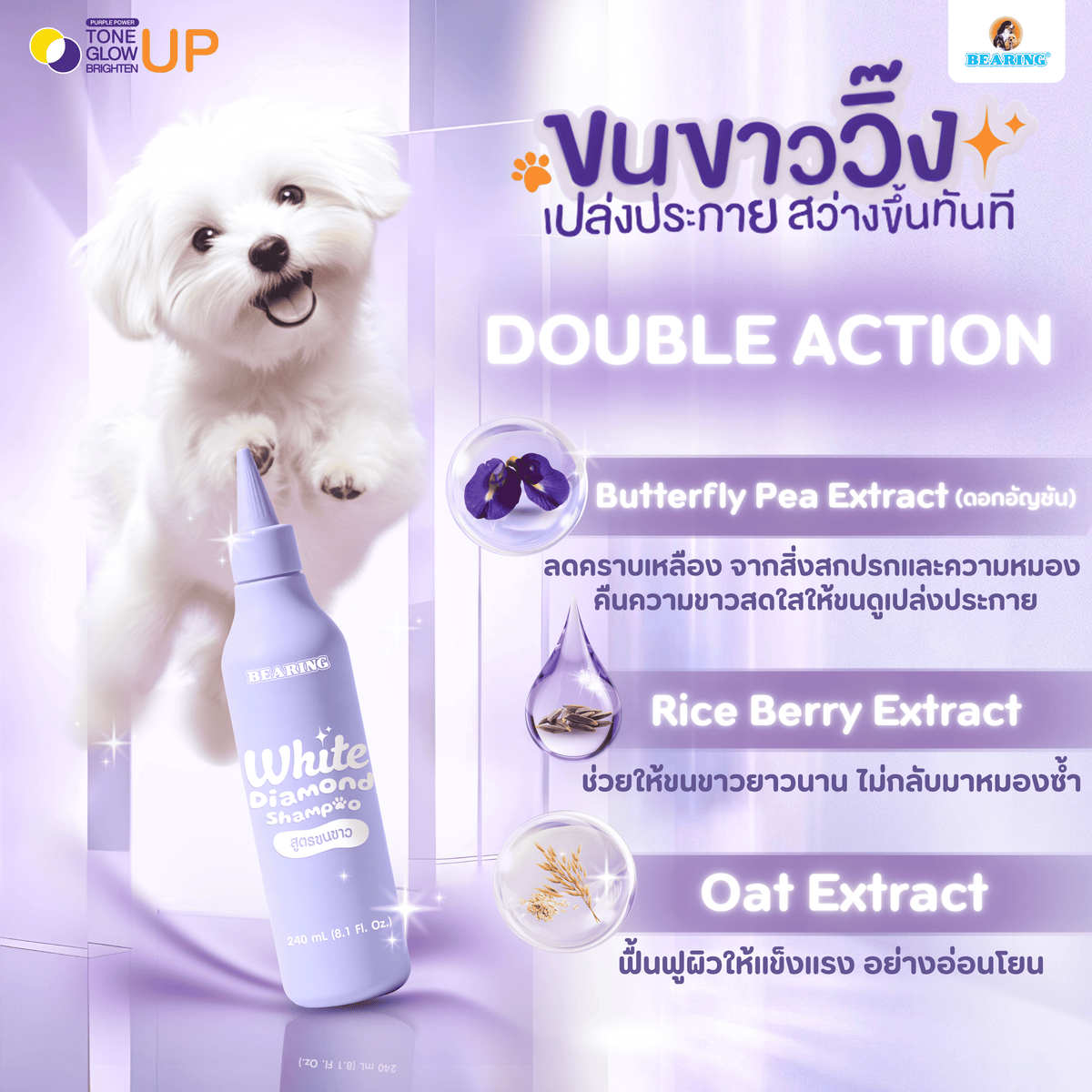 BEARING White Diamond Shampoo for Dog แบร์ริ่ง ไวท์ไดมอนด์แชมพู สำหรับสุนัขขนขาว 240 ml.