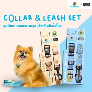 BEARING X Kakao Friends Collar & Leash Set  ชุดปลอกคอและสายจูงสำหรับสัตว์เลี้ยง ลิขสิทธิ์แท้ Kakao Friends (เกาหลี)