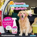 magic-odor-remover-spray-dogs-3