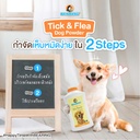 tick-flea-powder-for-dogs-steps