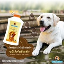 tick-flea-powder-for-dogs