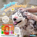 tick-flea-shampoo-for-dogs