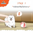 tick-flea-spray-for-dogs-step-1