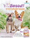 multivitamin-dogs-supplement