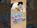 *BEARING Cat ลิควิดสแนค รสซีฟู้ดล็อบสเตอร์