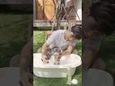 *BEARING Cat แชมพูแมว สูตรอ่อนโยน สำหรับผิวบอบบางแพ้ง่าย