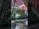 *WaxOne Clear Vision น้ำยาเคลือบกระจกรถยนต์