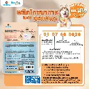 CatSensitive (6).webp
